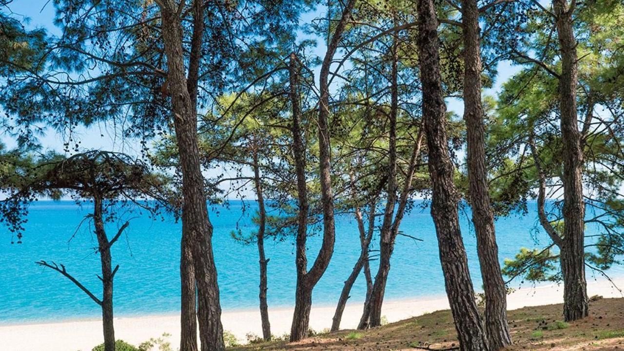 Blue Jasmine Hotel Skala  Eksteriør bilde